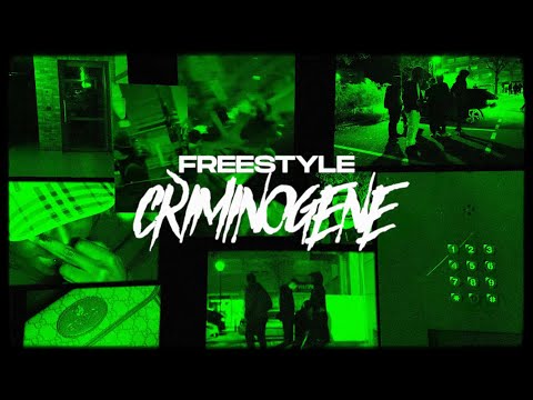Freestyle Criminogène