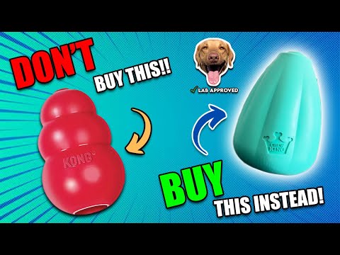The Best Alternatives to KONG Dog Toys