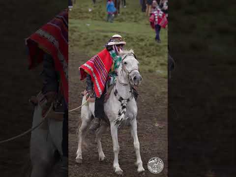 TIKAPALLANA 2024 en 4K: La Fiesta de las Flores en Cotabambas, Apurímac 🌺 🥁