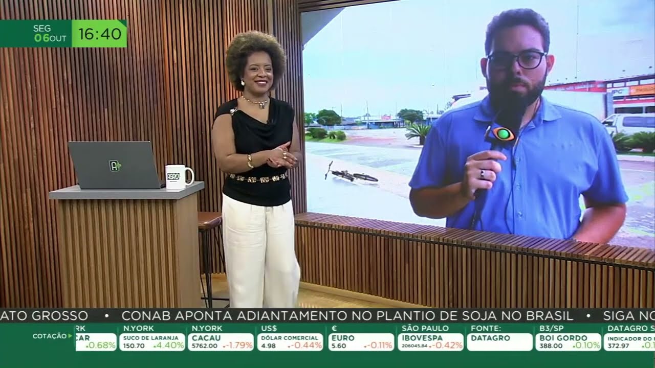 Controle biológico: insetos ajudam a combater pulgão-do-sorgo