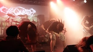 preview picture of video 'Sasquatch - Bad Dreams (Live @ Feierwerk, München) – Pro-Shot'