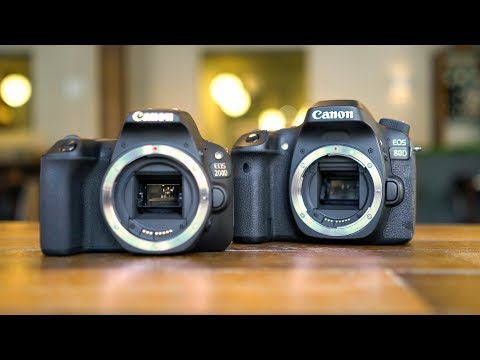 Canon 200D/SL2 vs 80D, Best Vlogging Camera? - In-Depth Review