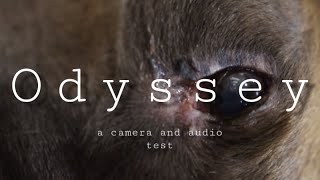 “Odyssey” by Jackson McCoy - a camera and audio test