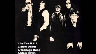 Flamin' Groovies - In The U.S.A (Maxi Single)