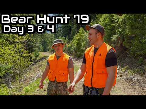 This Hunt is Tough! | Montana Public Land Bear Hunt '19 (Day 3 & 4)