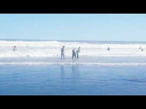 PIBA COSMICA X FACTOR - RAICES(PROD.PORLOSPIBESINC).