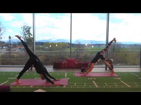 VINYASA FLOW YOGA mit Johanna & Heike - ONLINE YOGA - ONLINE KURSE