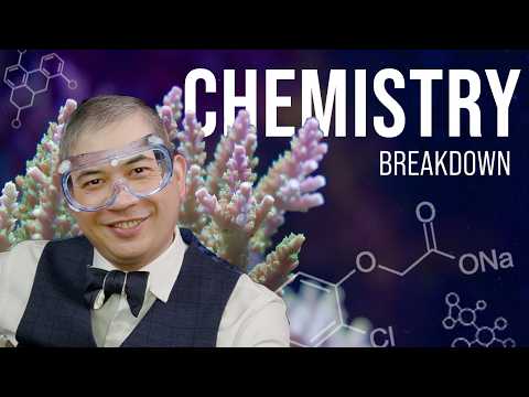The Complete Beginner's Guide to Reef Aquarium Chemistry