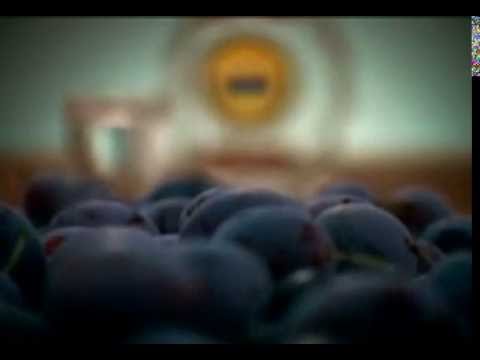 Náhled pro video reference