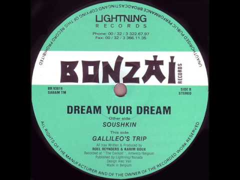 Dream Your Dream - Gallileos Trip