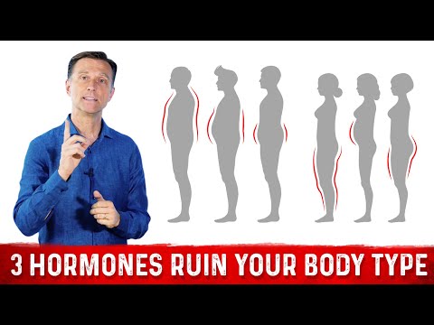 The Answer To Obesity Is In The Food Statistics – Dr Berg