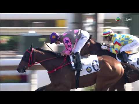 05/12/2021 (224) 華卓晴 (E449) 波健士