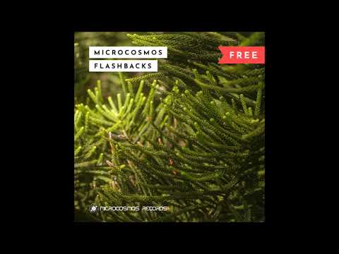 Microcosmos Flashbacks Chillout Mix