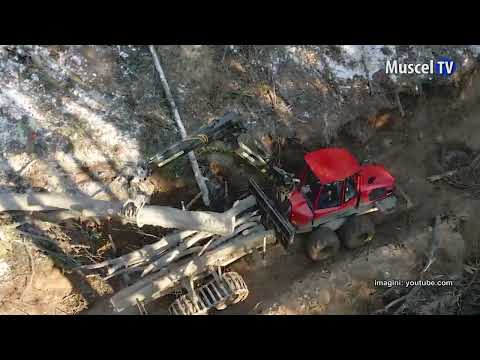 Jurnal MUSCEL TV 16.02.2023 ITM - respectare norme în munca forestieră