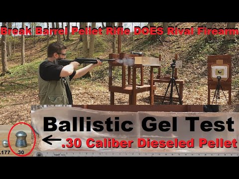 Break Barrel Pellet Rifle DOES Rival Firearm - Ballistic Gel Test