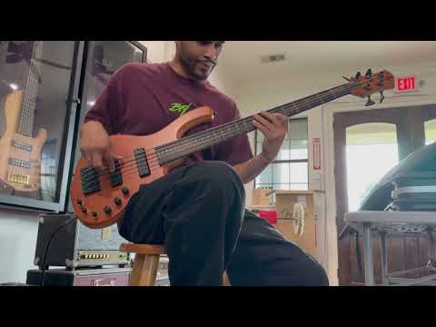 AnkaCustom - Hathor DX 5 strings Demo