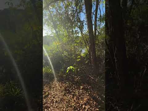 Lote quitado com acesso direto pro lago de carro. #lagocorumba4 #meulagocorumba #goias #foryou #fyp