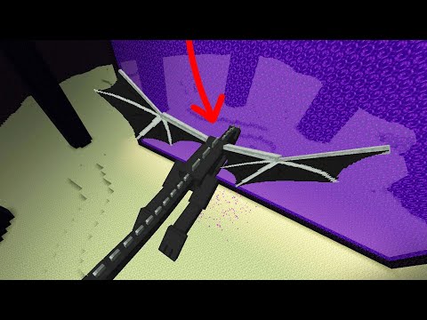 Alexa Real - what if the ender dragon goes to nether?