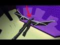 What If The Ender Dragon Goes To Nether