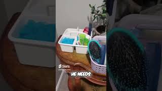 Pro Camp Packing Tips: How to Pack Like a Pro for Your Kid's Summer Camp