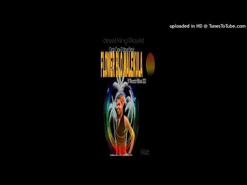Malekula  Flower _ Circle Crew FT Stee Black & Gtr works_ Lossa Takupele _ B17 & HEmusic 2023 _mix 2