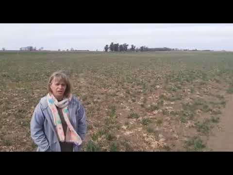 Práctica Tranqueras Abiertas