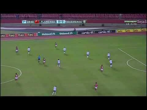 Flamengo 1x1 Figueirense | Brasileiro 29/05/2014 | Melhores momentos HD