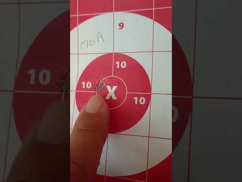 Nosler's Ballistic Tip Hunting Bullet