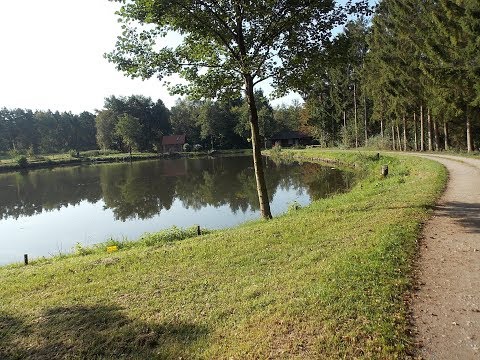 HEIDSCHNUCKENWEG Etappe 6 von Bispingen nach Soltau