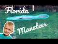 Florida Manatees Blue Spring State Park Walking Tour