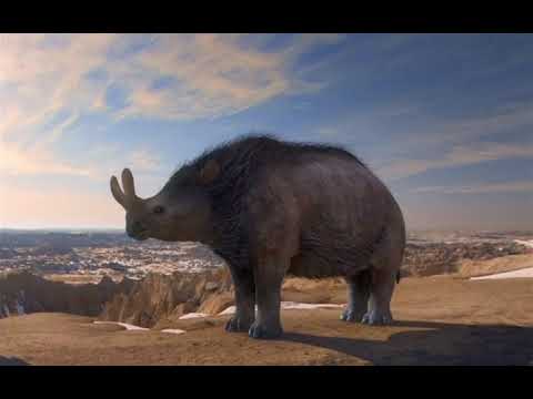David Attenborough's Rise of Animals: Triumph of the Vertebrates | Episode 2 of 2 | 2013