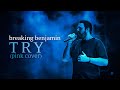 BREAKING BENJAMIN - Try (Pink Cover, 2025) (Unofficial)