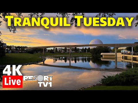 🔴4K Live: Tranquil Tuesday at Epcot in 4K - A Relaxing Evening - Walt Disney World Live Stream