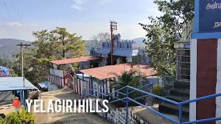 Temple video