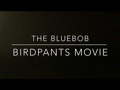 The Bluebob Birdpants Movie Cast Video