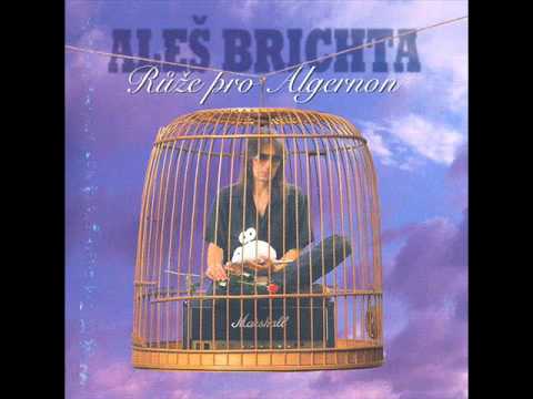 aleš brichta-sliby chyby