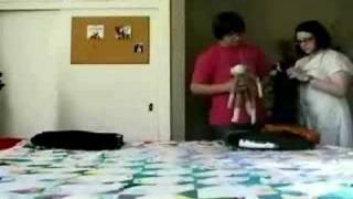 Lazy Confessions by the Moldy Peaches