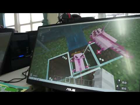 建國國小 麥塊SDGs聯合國永續發展目標 王O堯-麥塊SDGs程式競賽-112學年第二學期