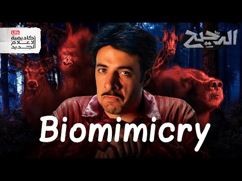 خريطة الموقع