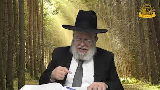 דף היומי בחצי שעה – סנהדרין דף ע”ה