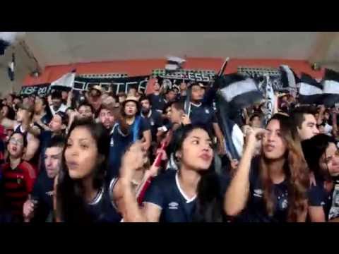 Camisa 33 - Sou Azulino [Parazão 2016]