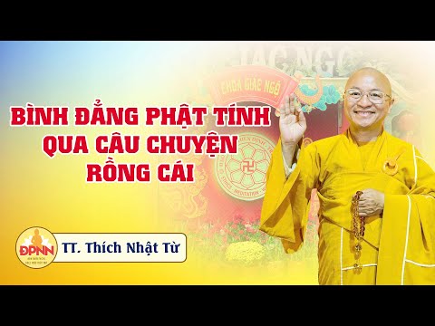 Bình đẳng Phật tính qua câu chuyện rồng cái thành Phật - Thầy Nhật Từ chia sẻ