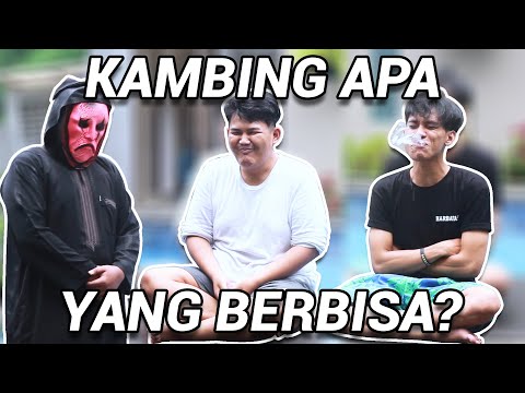 try-not-to-laugh-atau-di-ceburin-ke-kolam-4