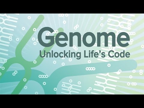 Genome: Unlocking Life’s Code