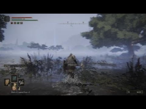 ELDEN RING™ pt 117