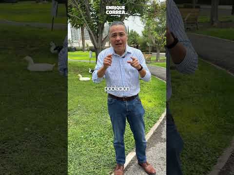 🦆 ¿Por qué hay tantos patos en Juriquilla? La verdad te sorprenderá