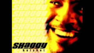 Shaggy - Keeping It Real