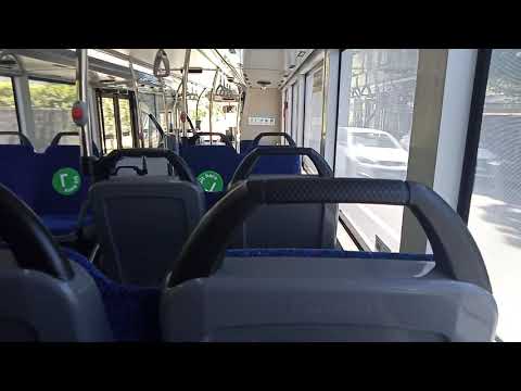 Forest Coach Lines - 6936 - MAN ND323F/Gemilang[Terrey Hills](270 - Terrey Hills)