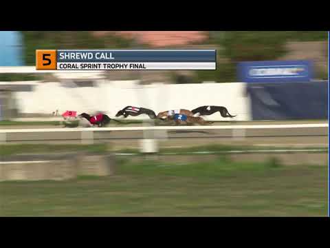 2020 CORAL SPRINT FINAL - T5 SHREWD CALL