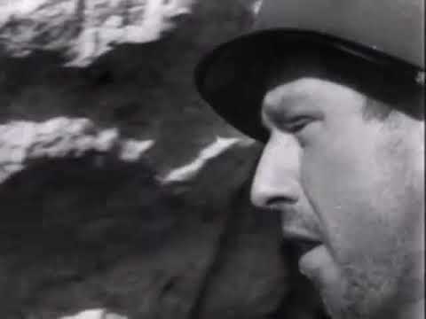 video frame placeholder